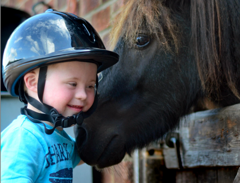 Meet Henry - Our RDA Sponsored Horse!