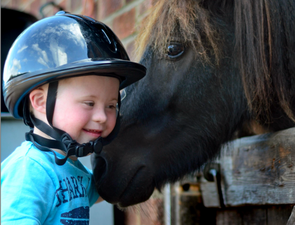 Meet Henry - Our RDA Sponsored Horse! – Black Heart Equestrian