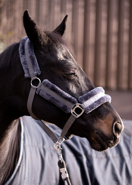 Faux Fur Head Collar and Lead Rope - Grey