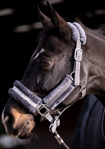 Faux Fur Head Collar and Lead Rope - Grey